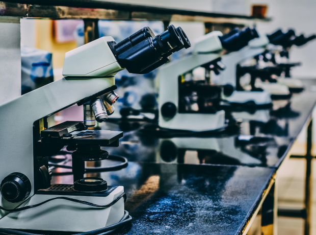 Microscopes in a lab