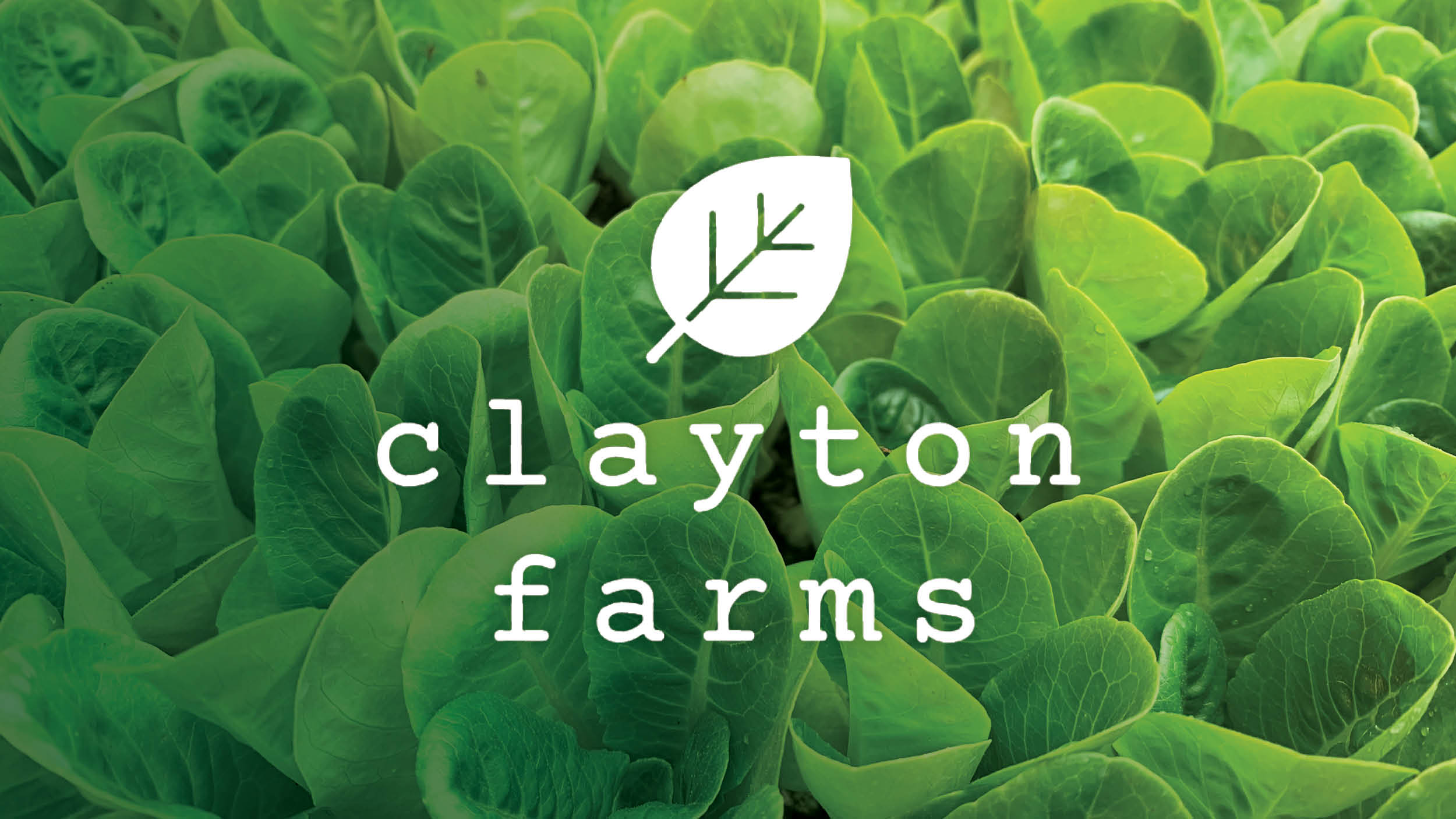 Clayton Farms Develops New Generation of Indoor Farming