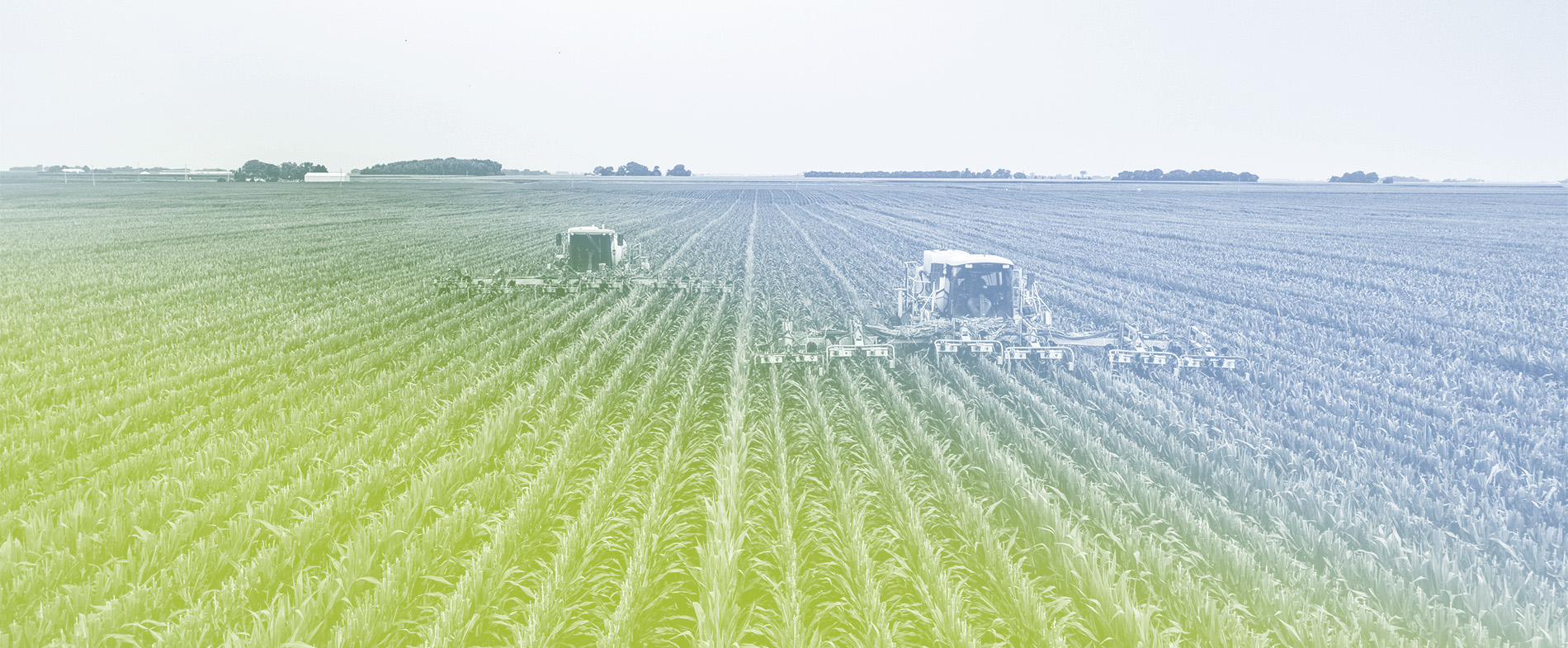 Why Leadership Development in Agribusiness Matters Now